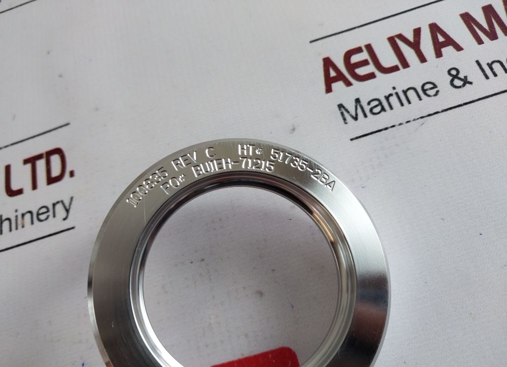 Oceaneering 100833-rk Repair Valve Check Kit