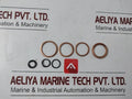 Olaer Cgh 3000 Charging Assembly Set