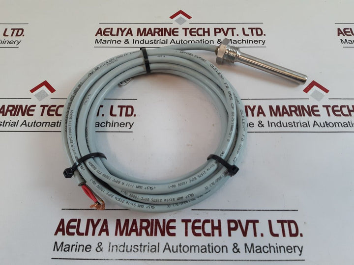 Olflex Fd 855 Cp , Pt-100 Sensor 301251 With Cable
