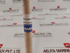 Omega Pr-19-2-100-1/8-6-e Temperature Sensor