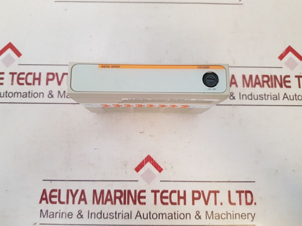 Ovation 1C31125G01 Digital Output Module