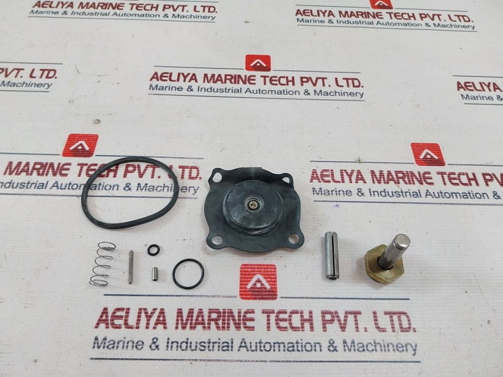 Parker 16F24C2164Aafr Gold Ring Solenoid Valve Repair Kit