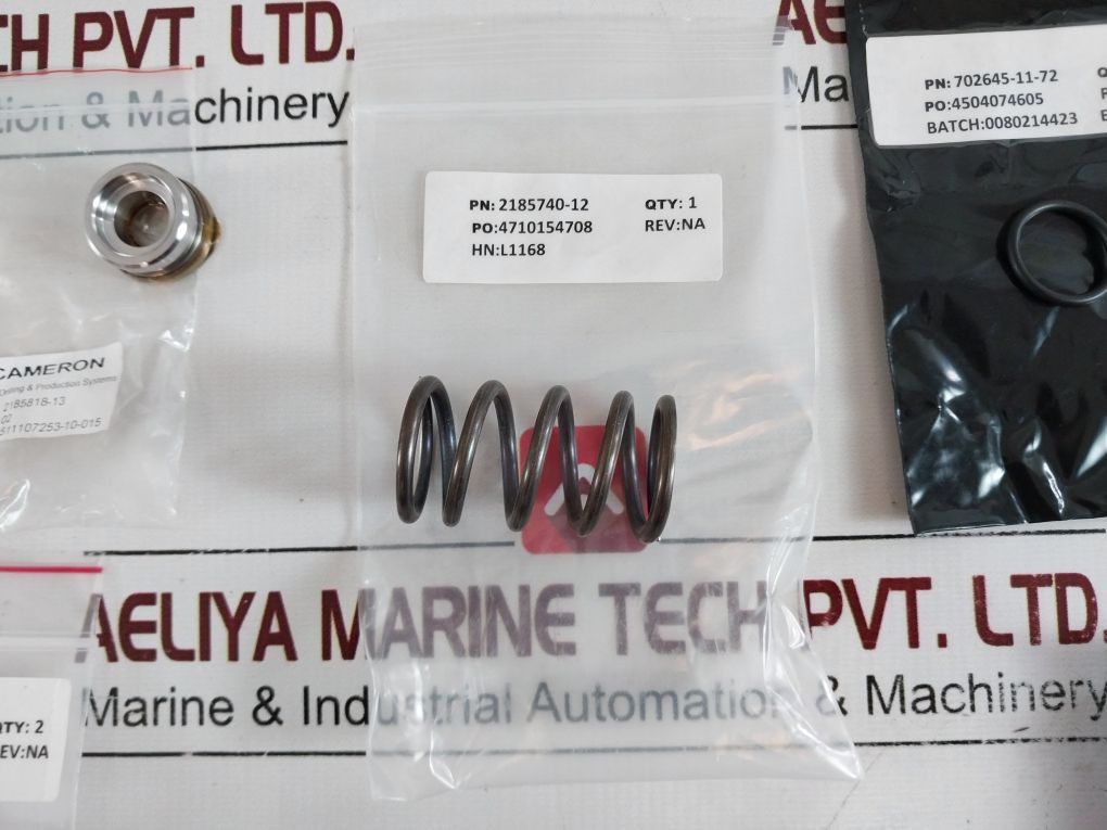 Cameron Iron 2185188-31-99 Drg Valve Repair Kit