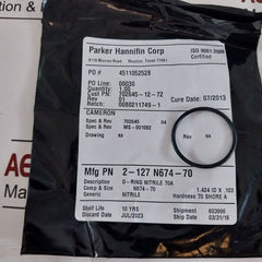 Cameron Iron 2185188-31-99 Drg Valve Repair Kit