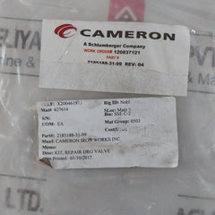 Cameron Iron 2185188-31-99 Drg Valve Repair Kit