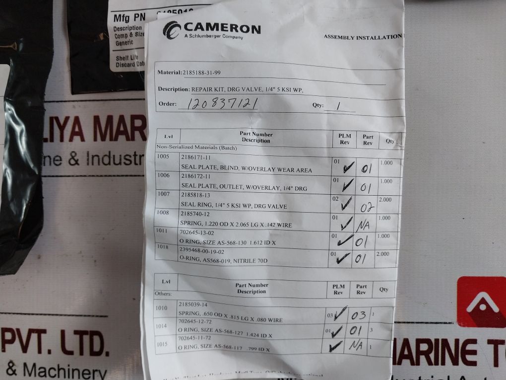 Cameron Iron 2185188-31-99 Drg Valve Repair Kit