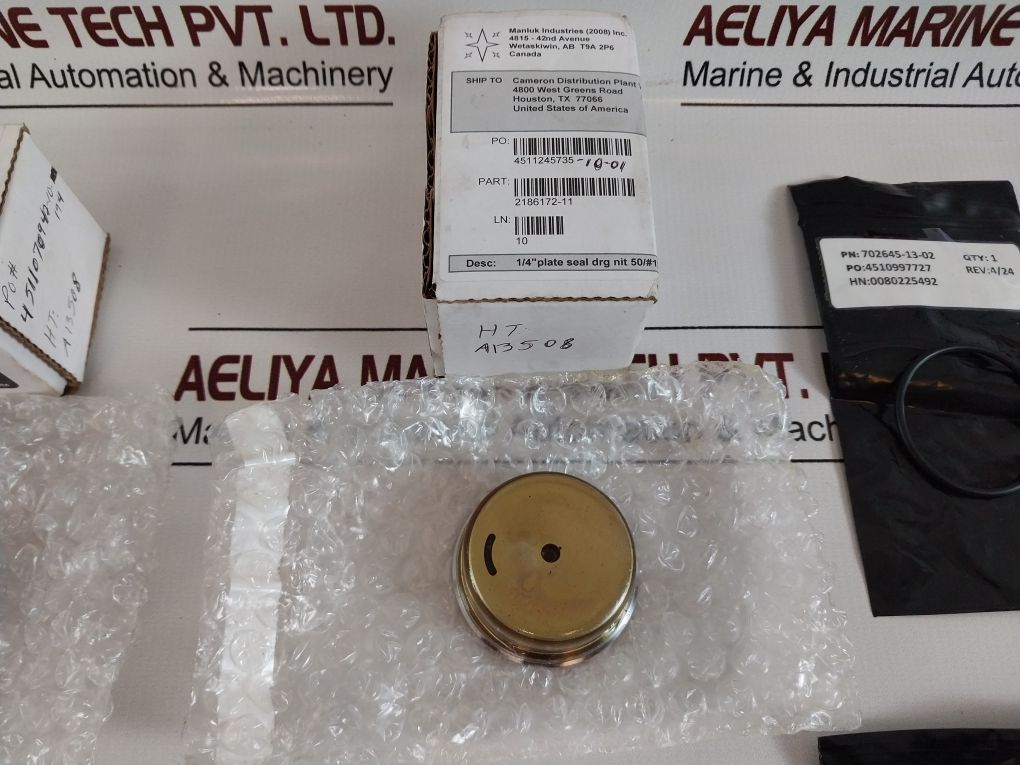 Cameron Iron 2185188-31-99 Drg Valve Repair Kit