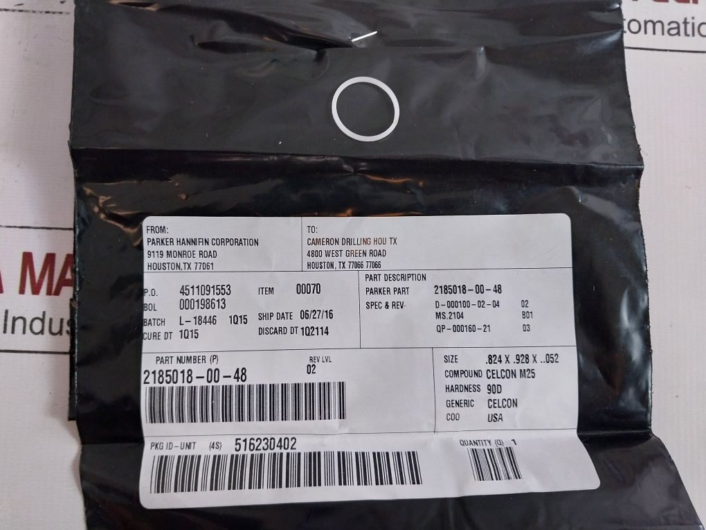 Cameron Iron 2185188-31-99 Drg Valve Repair Kit