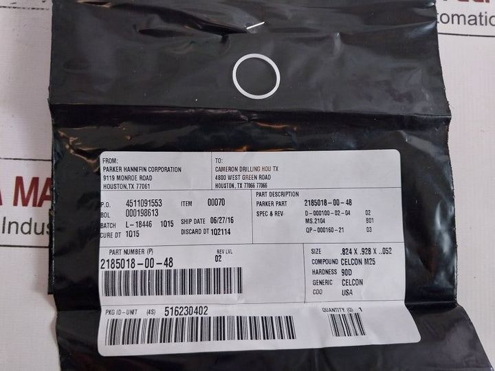 Cameron Iron 2185188-31-99 Drg Valve Repair Kit