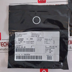 Cameron Iron 2185188-31-99 Drg Valve Repair Kit