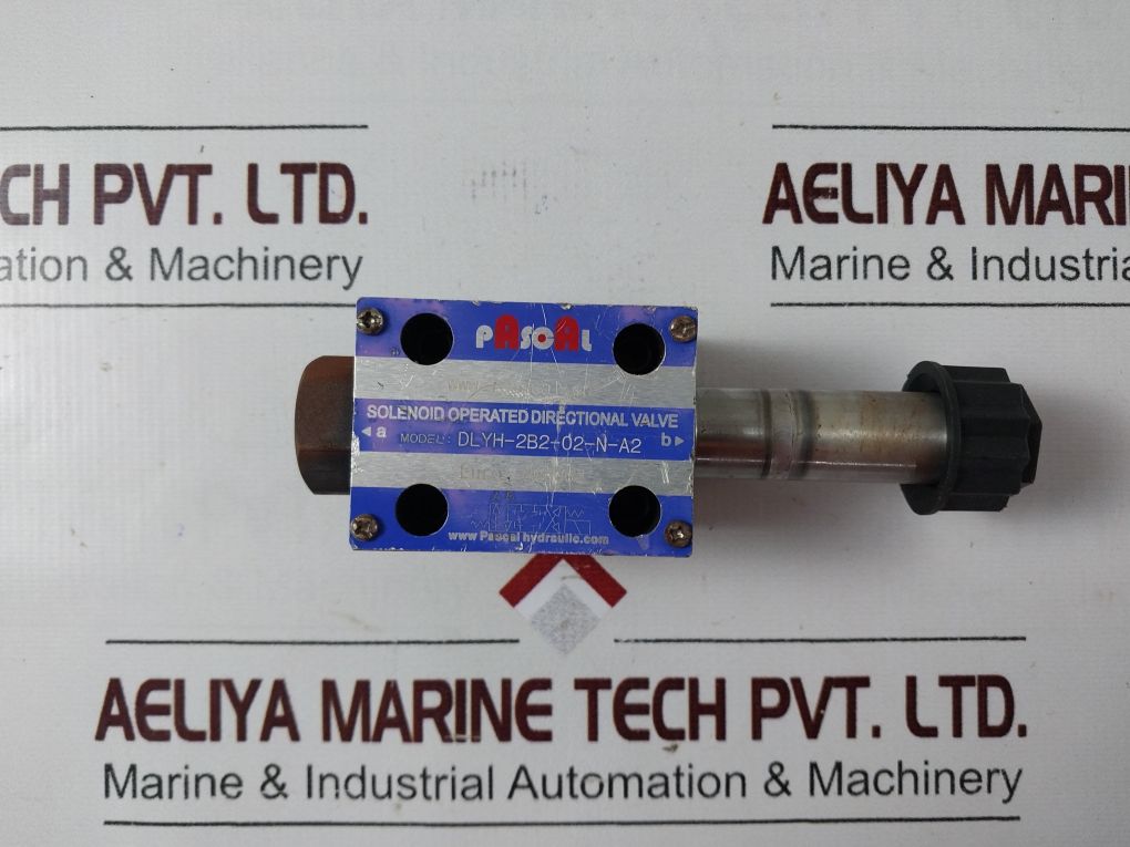 Pascal Dlyh-2B2-02-n-a2
