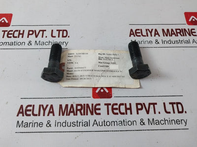 Peiner 10.9 Hv Structural Bolt