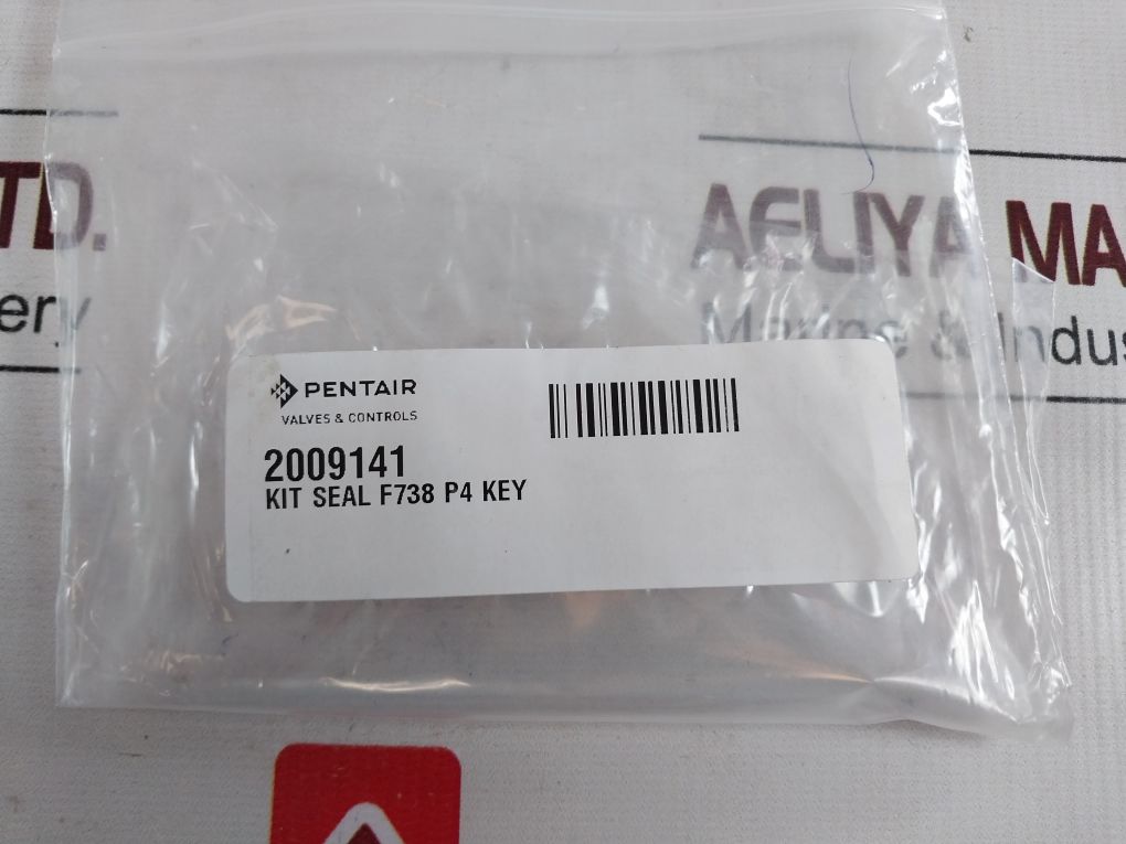 Pentair 2009141 Seal Valve Kit