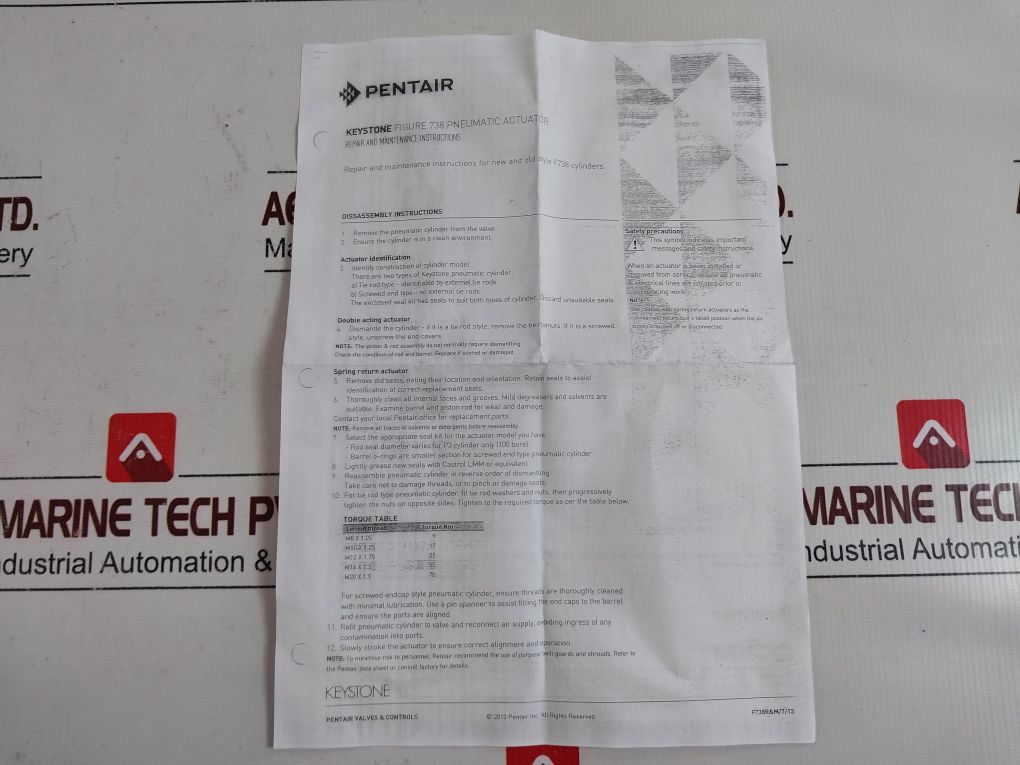 Pentair 2009141 Seal Valve Kit