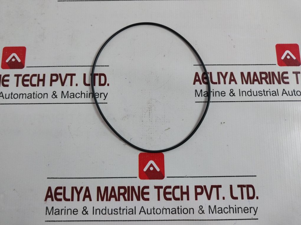 Pentair 2009141 Seal Valve Kit