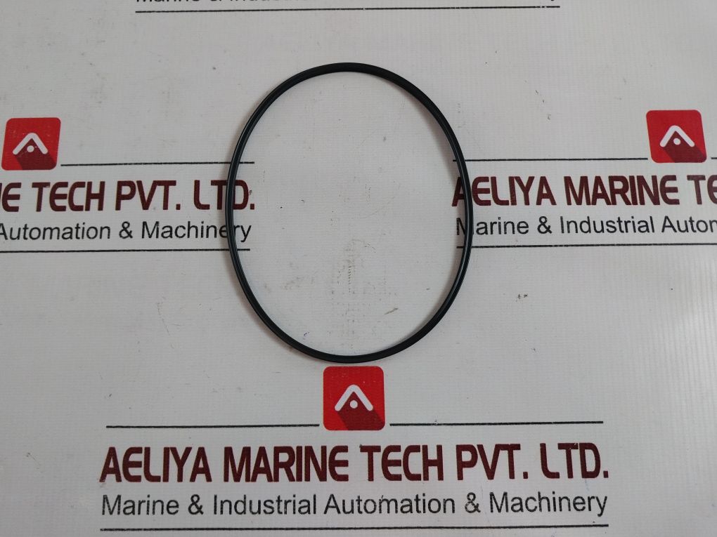 Pentair 2009141 Seal Valve Kit