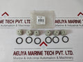 Pentair Hypro 3430-0316 Triplex Plunger Pump Service Valve Kit