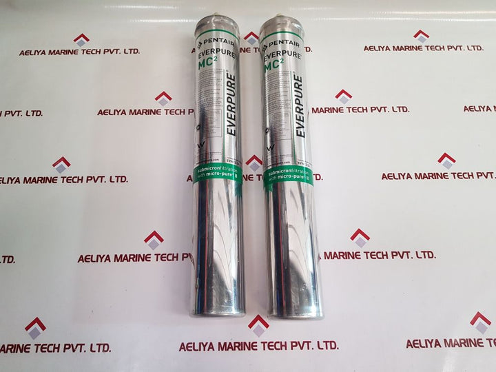 Pentair Everpure Ev9612-56 Water Filter
