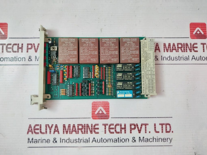 Pepperl+Fuchs Eg4-r 07219 Amplifier Connection Module Assembly