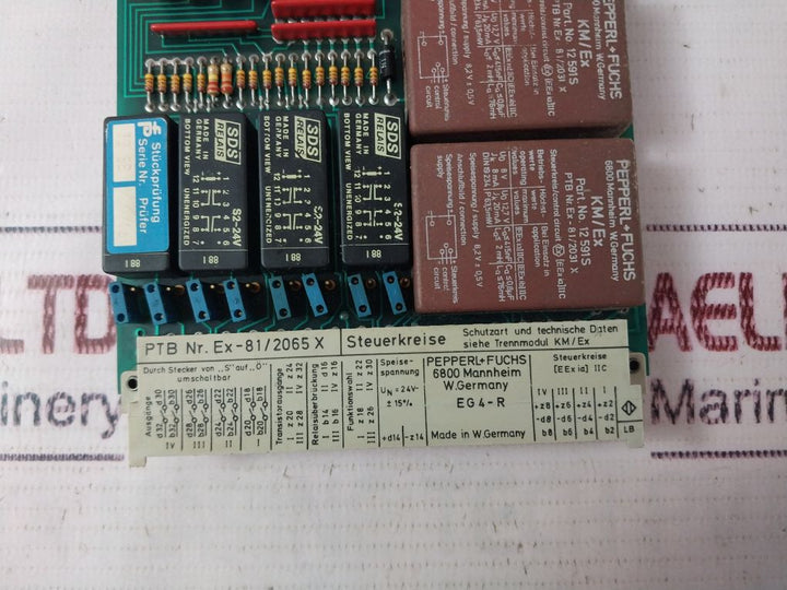 Pepperl+Fuchs Eg4-r 07219 Amplifier Connection Module Assembly