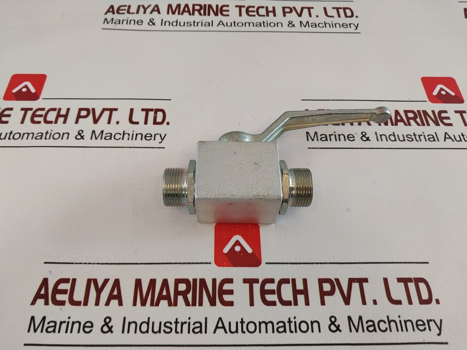 Pister/Huisman 1113 Bkh-16S Ball Valve