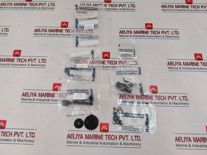 Prominent 1001725 Spare Part Kit For Bt4B 0708 Npb2