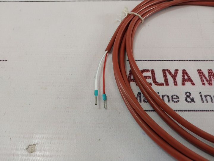 Pt100 Temperature Sensor 