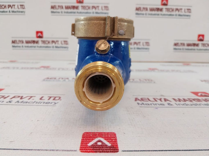 Pulsafeeder Mtr300 Inline Mechanical Flowmeter