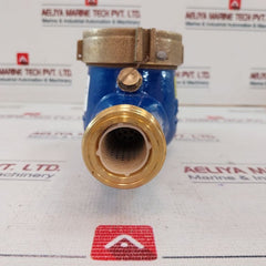 Pulsafeeder Mtr300 Inline Mechanical Flowmeter