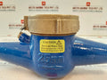 Pulsafeeder Mtr300 Inline Mechanical Flowmeter