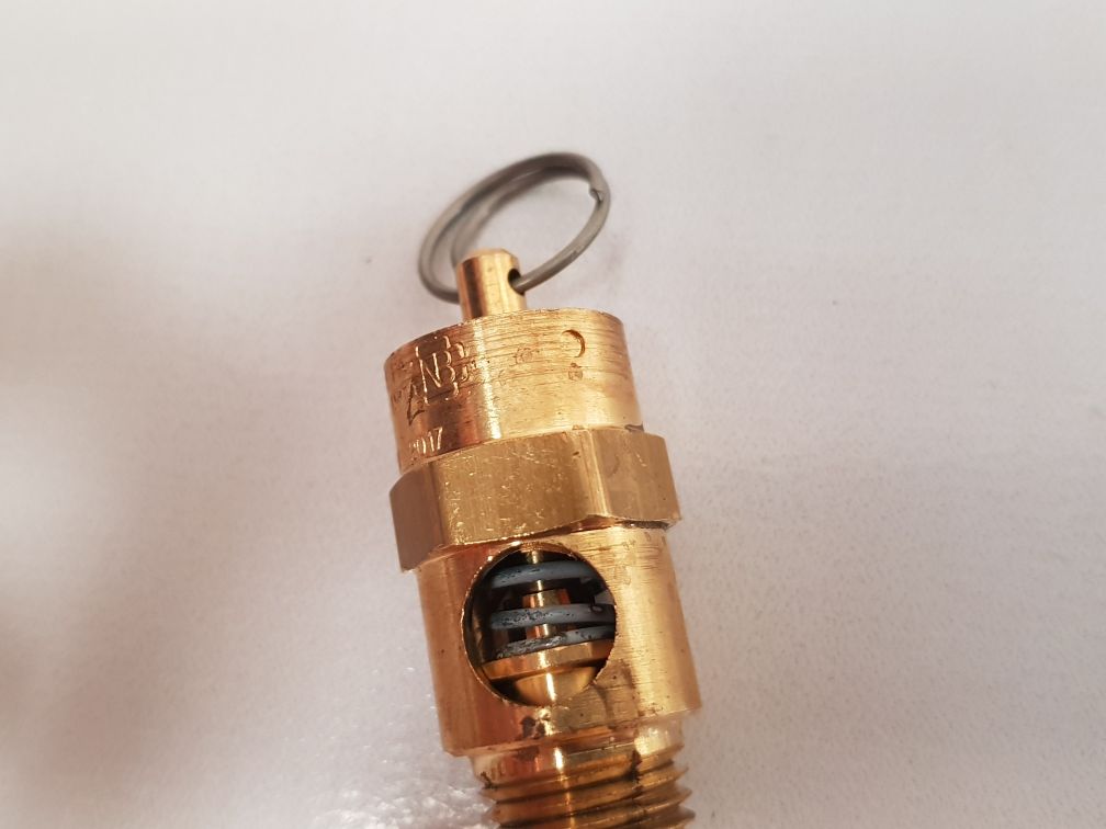 R. Conrader Srv 250 Safety Valve 1/4 Npt