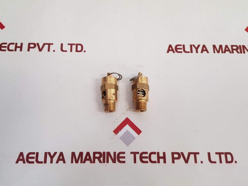 R. Conrader Srv 250 Safety Valve 1/4 Npt