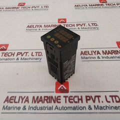 Radix Electrosystems X48A Programmable Onoff Controller