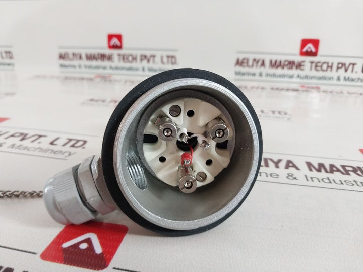 Radix Pt 100 3 Wire Rtd Sensor