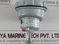 Radix Pt 100 3 Wire Rtd Sensor