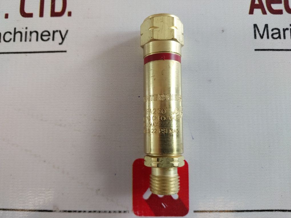 Radnor Flashback Arrestor Set 64003942