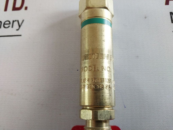 Radnor Flashback Arrestor Set 64003942