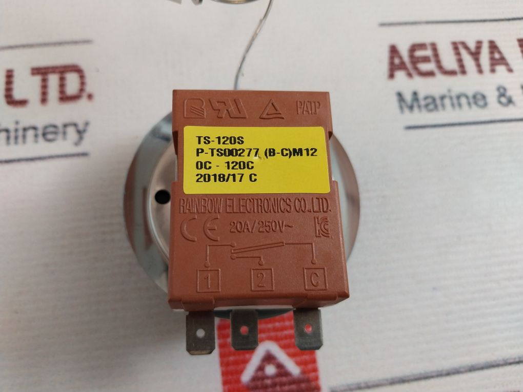 Rainbow Ts-120S Capillary Thermostat