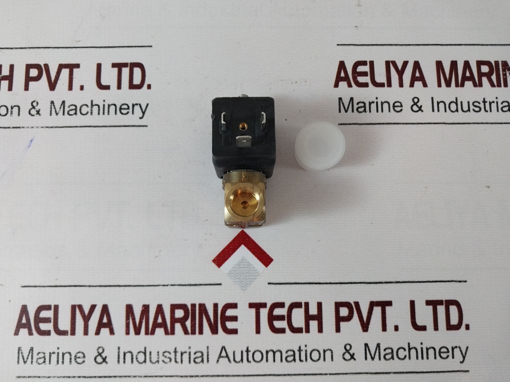 Rapa Bv01 L2 1/4 Solenoid Valve Coil