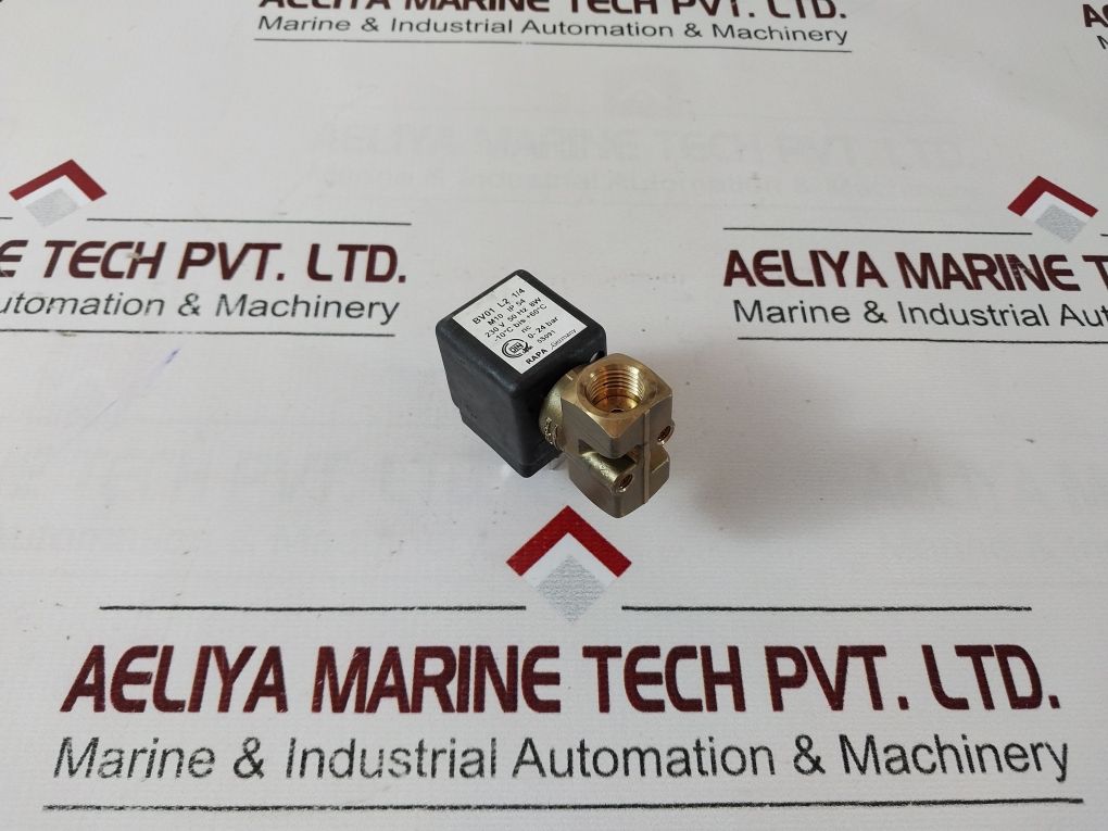 Rapa Bv01 L2 1/4 Solenoid Valve Coil