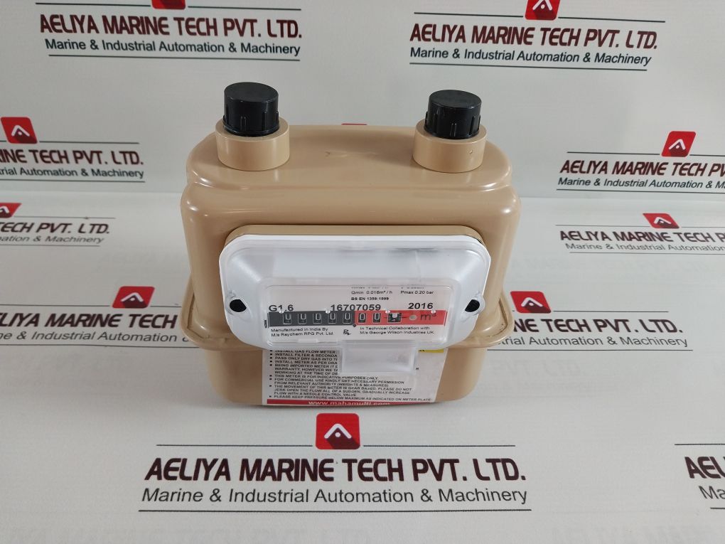 Raychem G1.6 16707059 2016 Gas Flow Meter