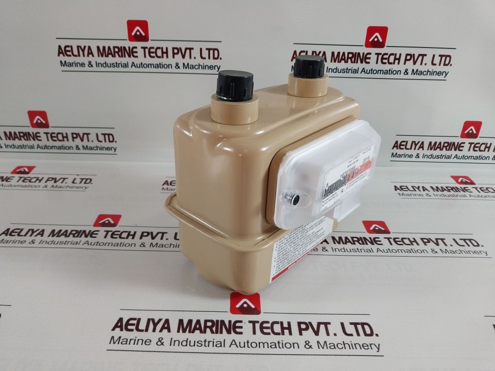 Raychem G1.6 16707059 2016 Gas Flow Meter
