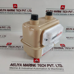 Raychem G1.6 16707059 2016 Gas Flow Meter