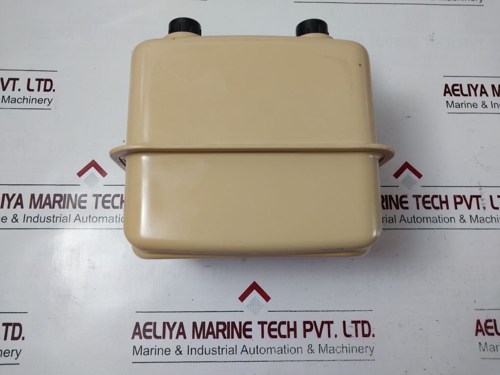 Raychem G1.6 Gas Flow Meter 16707108