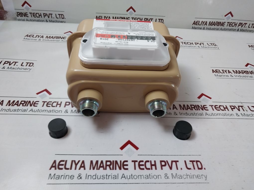 Raychem G1.6 Gas Flow Meter 16707108