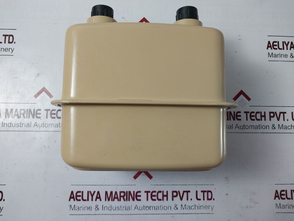 Raychem G1.6 Gas Flow Meter