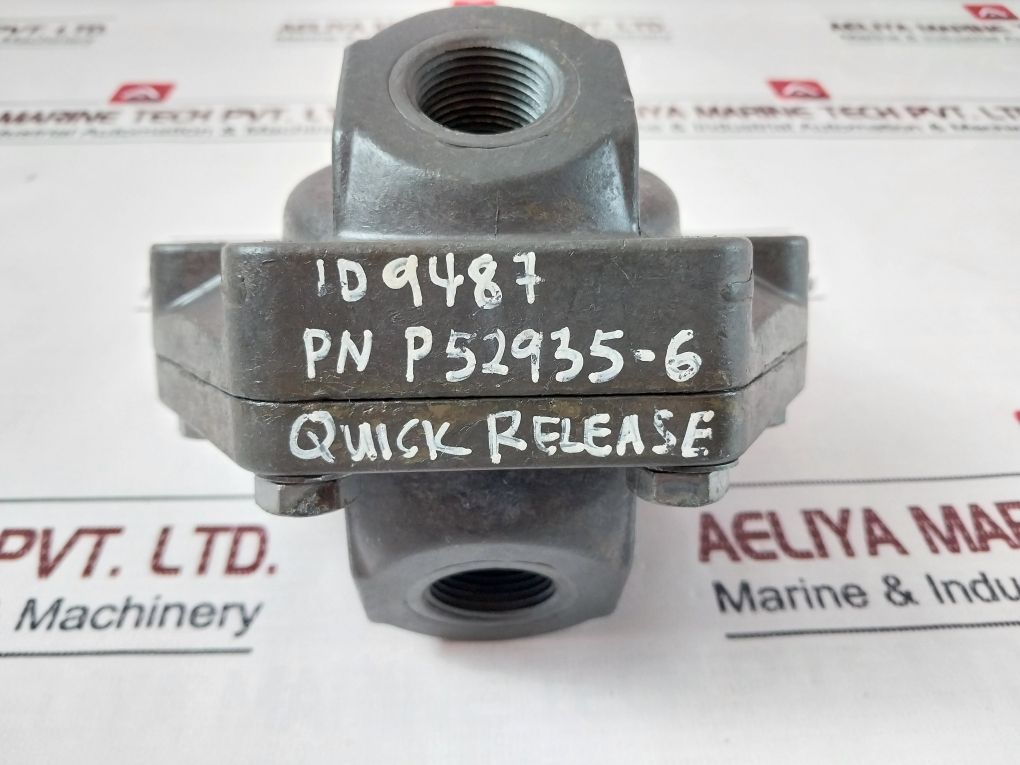 Rexroth P52935-6