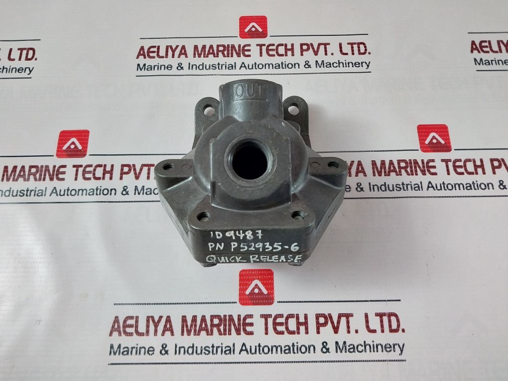 Rexroth P52935-6
