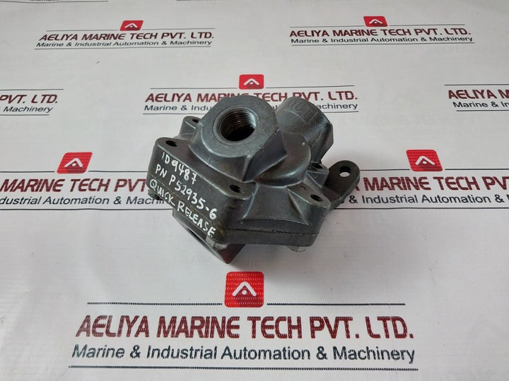 Rexroth P52935-6
