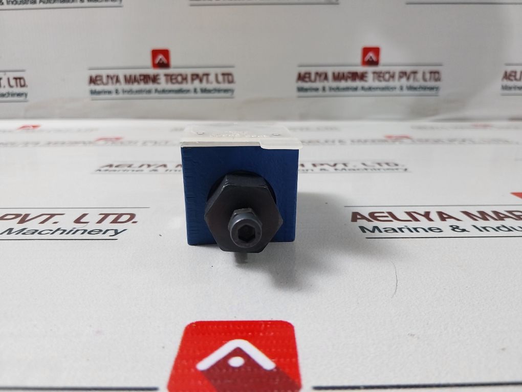 Rexroth R900481624 Hydraulic Check Valve
